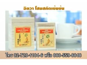 โสมเกาหลี อิลวา แค็ปซูลโสม 100 แคป ilhwa korean ginseng capsules 100 cap โสมเกาหลีแท้ โสมอิลวา โสมสกัด