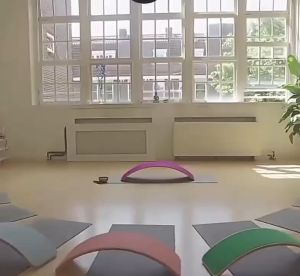 JLT Wooden Wobble Balance Board