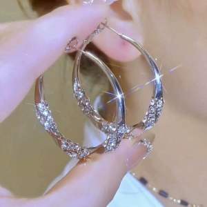 (Bebas beli 2 dapat bonus) H-Girl888 A71 COD Anting bulat warna sliver cakep titanium wanita original