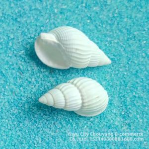 Sea Shell Micro Landscape Decoration 1-2cm
