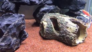 ตกแต่งตู้ปลา ขอนไม้เรซิ่น สะพานเรซิ่น ต้นไม้เรซิ่นจําลอง สําอาจเสีย สำหรับการเทรด 2 ประเภท