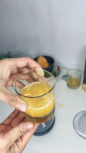 Máy Vắt Cam Nineshield KB L5 Thiết Kế Thông Minh Tự Động -  Nhỏ Gọn - Siêu Tiện Dụng - VinhBuiStore Máy Vắt Cam Tự Động Nhỏ Gọn Máy Vắt Cam Tiện Dụng Cho Gia Đình - Lazada