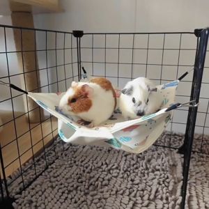 [Animal KOKO] 🌷ผ้าไหมน้ำแข็ง ที่นอนผ้าเย็นสบาย 🌷หนูแกสบี้ แฮมสเตอร์ ชูก้า กระรอก ชินชิล่า พร้อมส่งจากประเทศไทย