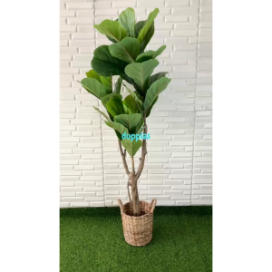 Pohon Plastik Tanaman Hias Ketapang X3 T150 Latex Cover Eceng Gondok Handle Dekorasi Kantor Hiasan Cafe