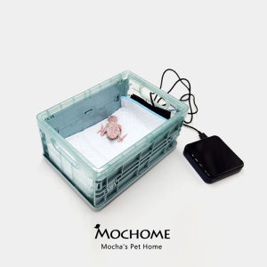 Parrot Incubator Warming Box Baby Bird Constant Temperature Incubator Pet Supplies Breeders Hand Feeding Warmth Holder