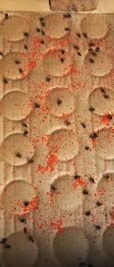 ผงไข่เน่า เหยื่อกำจัดแมลงวัน ฆ่าแมลงวันขั้นเทพ ผลิตภัณฑ์ฆ่าแมลงวันบ้าน ตราไก่ 1 กล่อง มี 25 ซอง การใช้งานง่าย