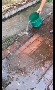 NAJIA Steel Brush: A Comprehensive Guide