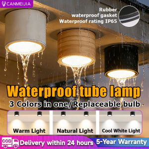 Surface Mounted&Concealed Installation Waterproof Tricolor Downlight Anti-glare Eye Replaceable GX53 bulb Protection Spotlight Easy Install For Living Room/Entrance/Aisle/Bathroom