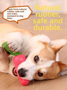 MewaJump | Durable Teething Squeaky Pet Toy