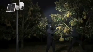 กล้องวงจรปิดโซล่าเซลล์ WATASHI WIOT1060FV-SOLAR-4G VSIM ไม่ต้องเสียบไฟ ไม่ใช้ wifi ดูออนไลน์ฟรี 3 ปี