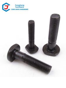 CANGJIANG | 8.8 Grade T-Bolt