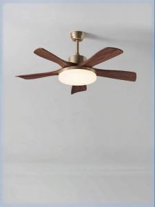 Chigo | Invisible Fan Ceiling Light Home Living Room Bedroom