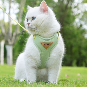 Mojioo Cat Harness and Leash for Walking Escape Proof Soft Adjustable Vest Harnesses for Cats and small dogs H shaped harness comfortable to wear Cat vest traction rope