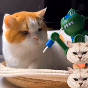 Đồ chơi khủng long hài hước cho trẻ em và thú cưng (mẫu mới) - Love Pets Shop