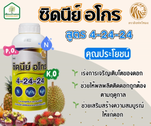 ปุ๋ยน้ำทางใบ สูตร 4-24-24 เร่งการเจริญเติบโตของดอก ตราสิงห์หวีทอง ขนาด 1 ลิตร