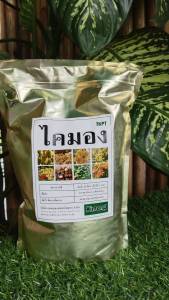 ไคมอง !! ดึงใบ ดึงยอด สร้างยอดใหม่ ยอดแตก ใบยืดยาว