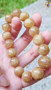 Premium Grade Rare Natural Cat Eyes Yellow Wealth Apatite Bracelet