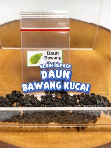 Benih Daun Bawang Kucai Unggulan Berkualitas biji bibit repack Chinese Chives Lokio prei pre tanaman berbunga sayur sayuran pot hydroponik hidroponik
