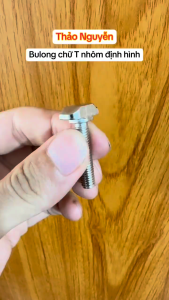 Ốc T Screw Inox M5 M6 M8 - Ốc Đầu Búa Chuyên Dụng Cho Nhôm Định Hình Dài 10mm Đến 30mm