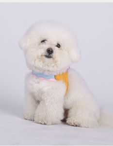 Dog Harness Vest – Colorfull Design Y-Shaped Saddle Harness for Small & Medium Dogs Breathable & Adjustable Reflective Strips (5 Colors)