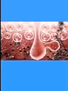 Wormwood Mite Acne Soap Eczema Skin Repair Acne Psoriasis Seborrhea Itching Anti Fungus Bath Whitening Sulfur Soap 80g Remove Mites Acne Shrinks Pores Facial Oil Control Lightens Skin Pigmentations Skin Antibacterial Bar Soap