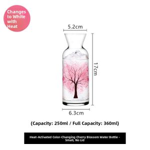 YOGEHOME | Color-Changing Glass Water Bottle Set