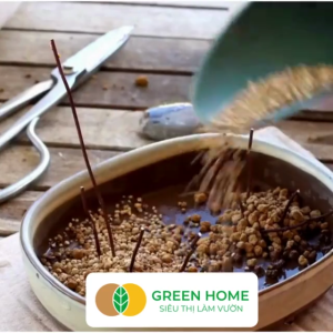 Đất Akadama GreenHome Bao 14Lít (8-9Kg) (Loại Cứng) Giá Thể Bonsai Kiểng Lá Phân Nền Thủy Sinh