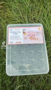 Hộp đựng trứng 24 quả có nắp đậy nhựa khay đựng trứng hàng dày