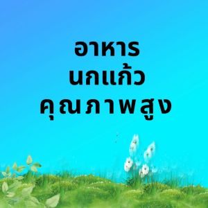 อาหารนกแก้วกลางใหญ่ ขนาด500กรัม size M ขนาดเม็ด 3มิลล