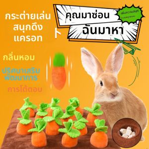 VOA | Entertainment & Interactive Rabbit Toy for Teeth Grinding and Stress Relief