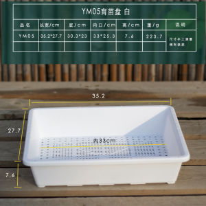 8-Caliber Succulent Plastic Square Basin Organizing Basket Water Tray Balcony Greenhouse Flower and Vegetable Seedling Planting Cutting Tray