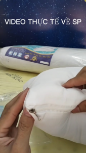 Ruột Gối Nằm Gòn Cao Cấp 40 x 60 50 x 70