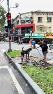 Bodymist xịt thơm khử mùi chó mèo Ecopets 20ml dưỡng da lông thơm lâu