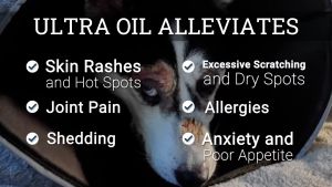Ultra Oil Dog & Cat Supplement: Allergies Relief, Dry Skin, Dull Coat & Hot Spots