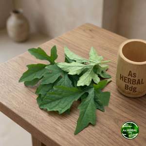 Daun pare hutan atau paria hutan segar 500 gram-az