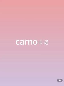 Carno 21cm Silent Running Wheel Hamster Syrian Dwarf Jomtheone 卡诺仓鼠跑轮超静音带支架滚轮跑步球金丝熊生活夏天造景用品大全