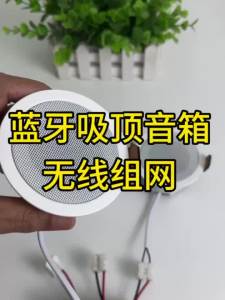 Loa Trần Bluetooth Mini 2 Inch Âm Thanh Stereo Nghe Nhạc Trong Nhà Tích Hợp Bộ Khuếch Đại Kỹ Thuật Số Class D Âm Thanh Gia Đình