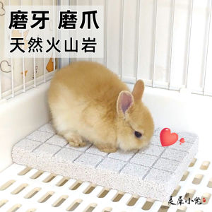 Large Volcanic Rock Squirrel Chinchilla Rabbit Guinea Pig Toy Hamster Foot Pad Pet Nail Grinding Board Mouse Teeth Grinding Stone