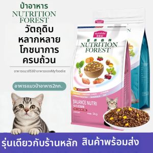 NUTRITIONFOREST | Nutritious Salmon Freeze-dried Cat Food 10kg
