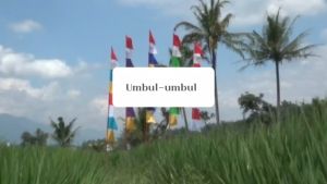 UMBUL UMBUL WARNA-WARNI 5PCS - UMBUL UMBUL MERAH PUTIH