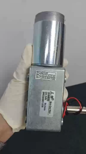 PPS DTF Printer Conveyor Motor DC 24V GW600 DTF Powder Shaker Machine