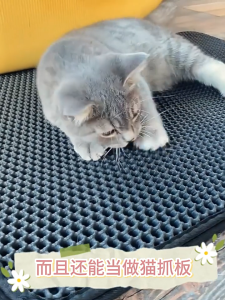 Pet Sand Containment Mat Dual-Layer Honeycomb Design | Eco-Friendly EVA Anti-Slip & Waterproof for All Litter Types