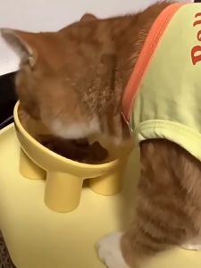 ชามอาหารเก้ากี้สี่ขา ทรงสูง ชามสำหรับสัตว์เลี้ยง ชามอาหารสัตว์เลี้ยง ทำความสะอาดง่าย ราคาถูกและดูดี