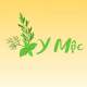 Nụ Trầm Hương Y Mộc Huế