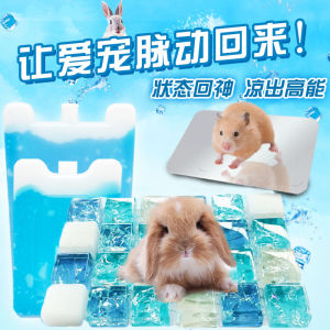 Aluminum Alloy Pet Cooling Board for Rabbits Guinea Pigs Hamsters Summer Heat Relief Pet Accessories Ice Bed Ice Mat