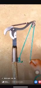 Gunting Pemangkasan Ketinggian Tinggi Pemotong Pemangkas Cabang Pohon dengan Tali