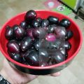 Duhat Grafted Giant fruit/Lomboy/ Giant Java Plum fruit hybrid tree Var. 