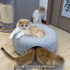 เล่นบอกแมวด้วย โดนัทบ้านแมว ราคาถูกต้อง ที่นอนแมว อุโมงค์แมว อุโมงค์แมว