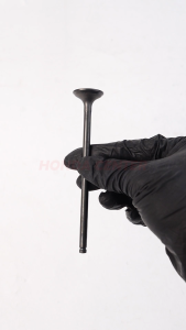 Klep Payung Valve In Ex Api Minyak Brio Brv Mobilio Crz Hrv 1500cc Jazz Ge8 Gk5 Freed City City Gm