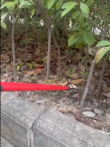 Multi-functional Heavy-duty Pruning Shears - Sharp SK5 Carbon Steel Blade Portable Gardening Tool for Thick Branches and Fruit Tree Fruit Flower Stems Hand Pruning Scissors Labor-saving Pruning Tool Gardening Supplies